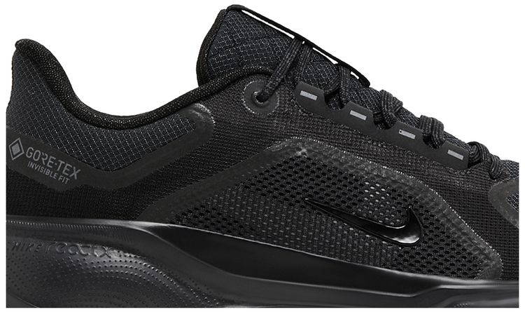 Air Zoom Pegasus 41 GORE-TEX 'Black Anthracite'