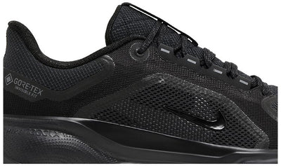 Air Zoom Pegasus 41 GORE-TEX 'Black Anthracite'