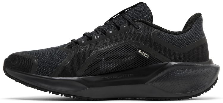 Air Zoom Pegasus 41 GORE-TEX 'Black Anthracite'