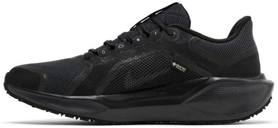 Air Zoom Pegasus 41 GORE-TEX 'Black Anthracite'