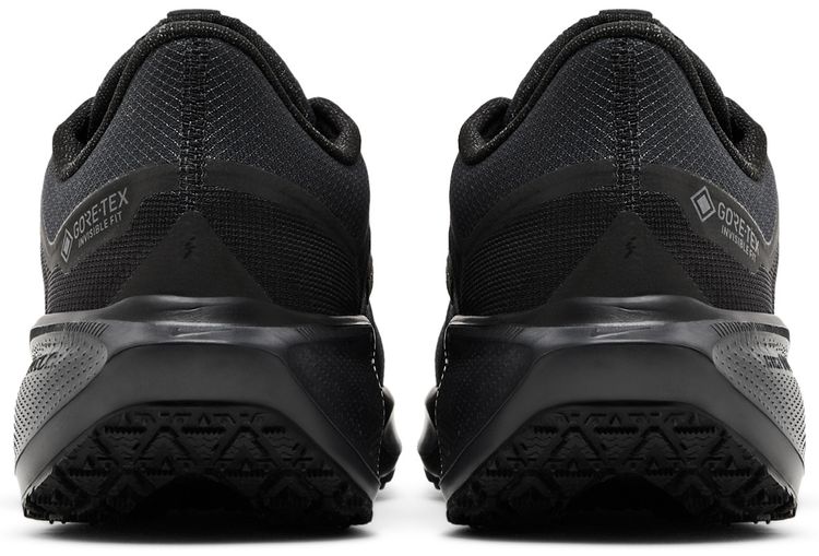 Air Zoom Pegasus 41 GORE-TEX 'Black Anthracite'